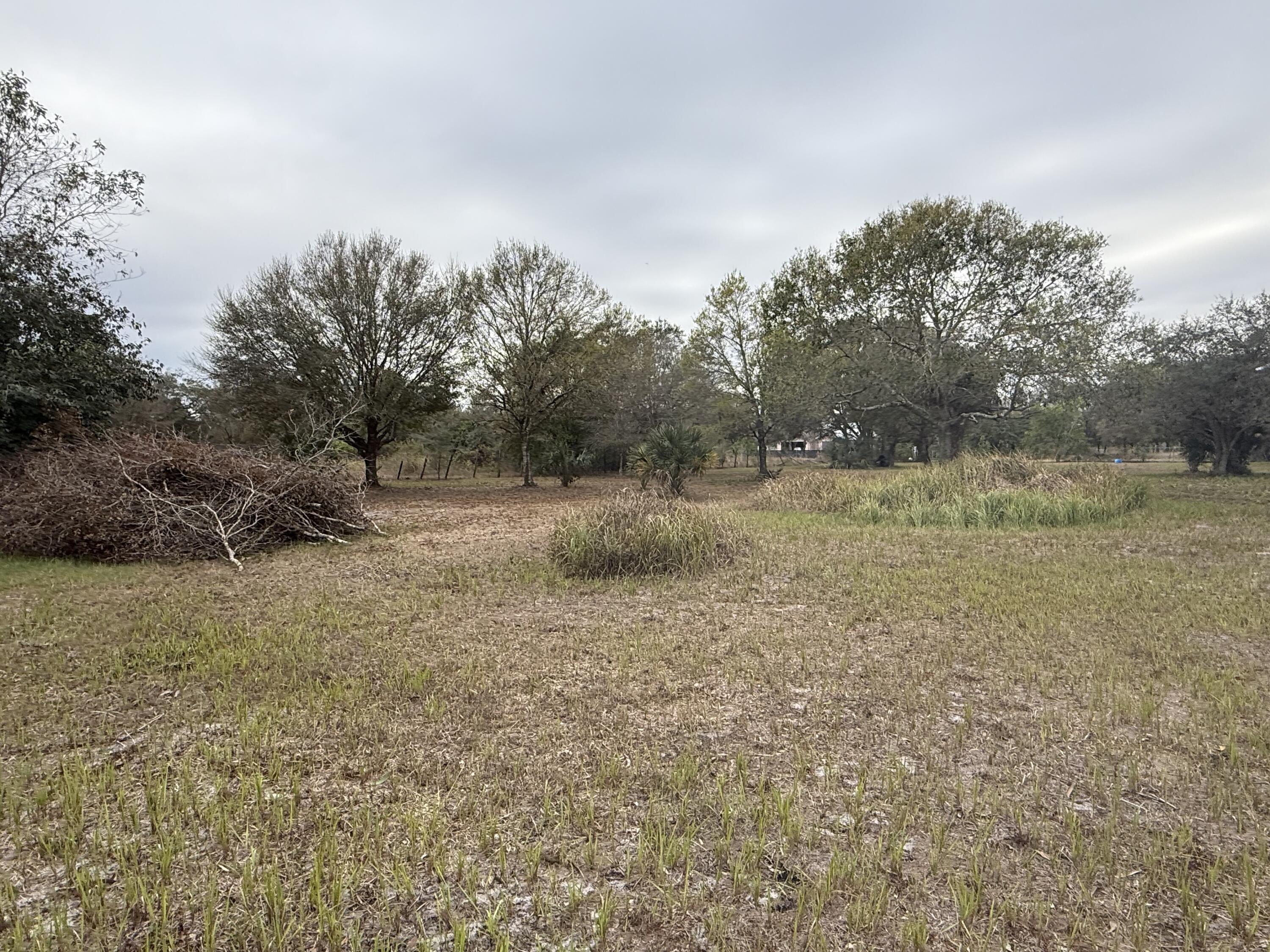 754 Hunting Club Avenue Clewiston, FL 33440 - Photo 2 of 31 a view of a field with trees in the background