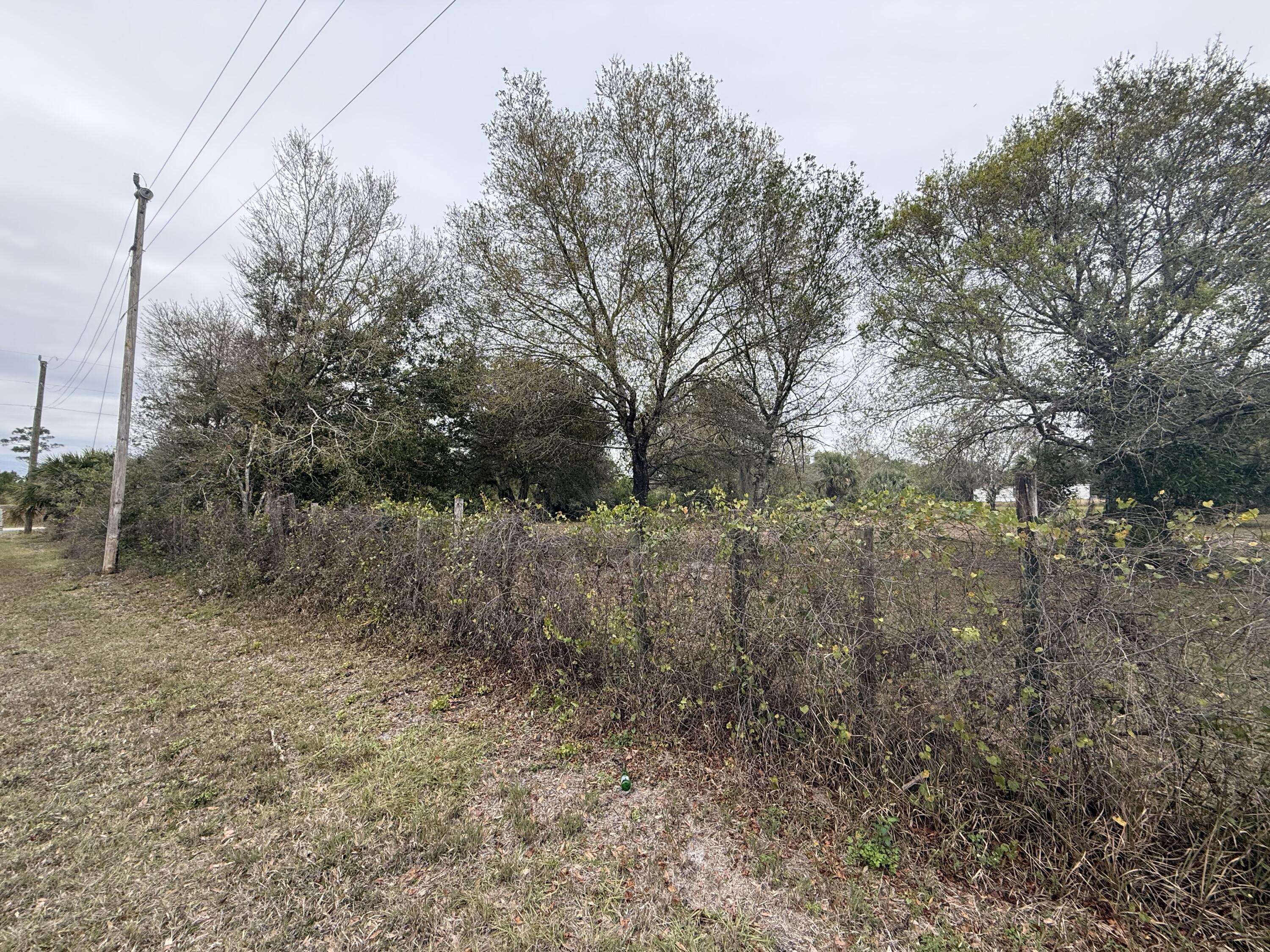 754 Hunting Club Avenue Clewiston, FL 33440 - Photo 21 of 31 a view of a forest with trees in the background