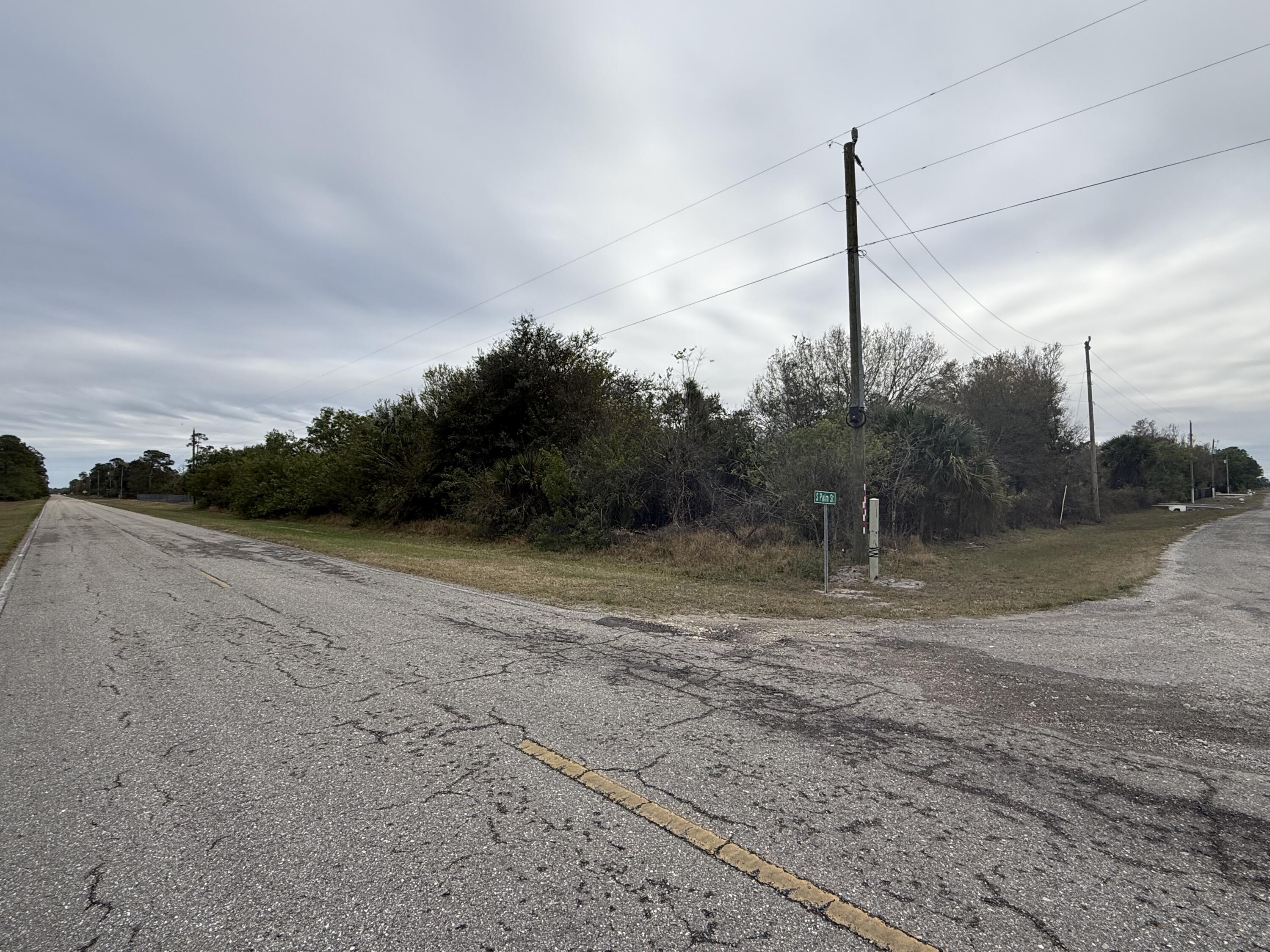 754 Hunting Club Avenue Clewiston, FL 33440 - Photo 28 of 31 a view of a yard with a tree