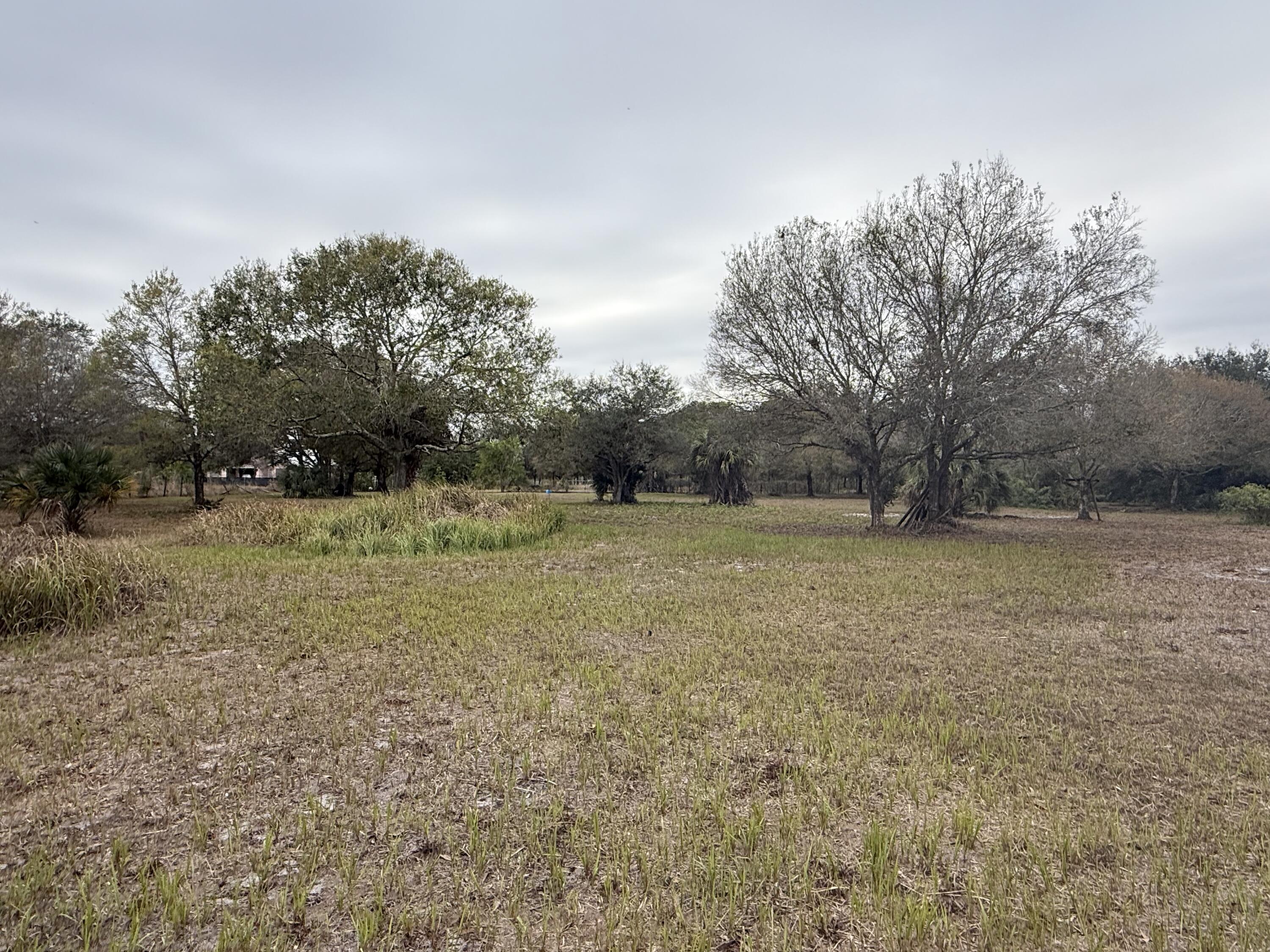 754 Hunting Club Avenue Clewiston, FL 33440 - Photo 29 of 31 a view of a field with trees in the background