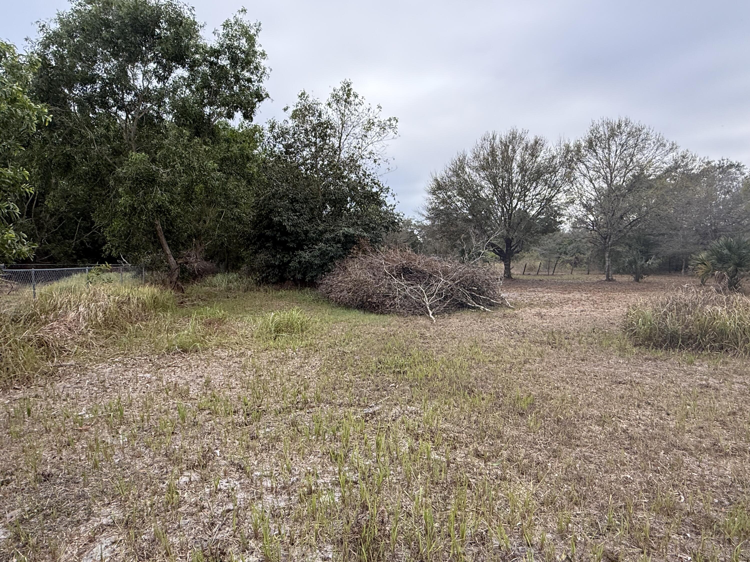 754 Hunting Club Avenue Clewiston, FL 33440 - Photo 3 of 31 a view of a dry yard with trees