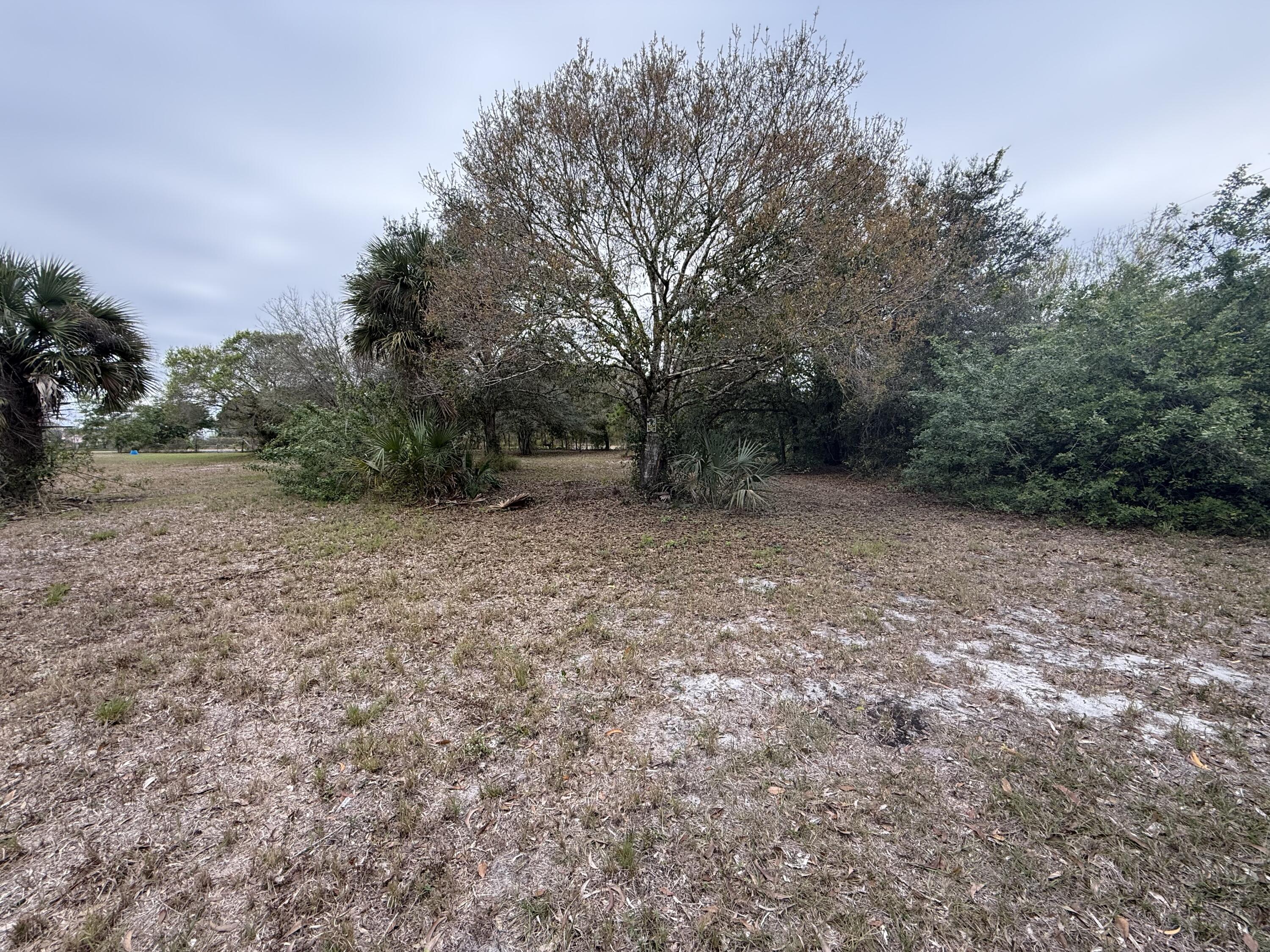 754 Hunting Club Avenue Clewiston, FL 33440 - Photo 31 of 31 a view of a forest with trees in the background
