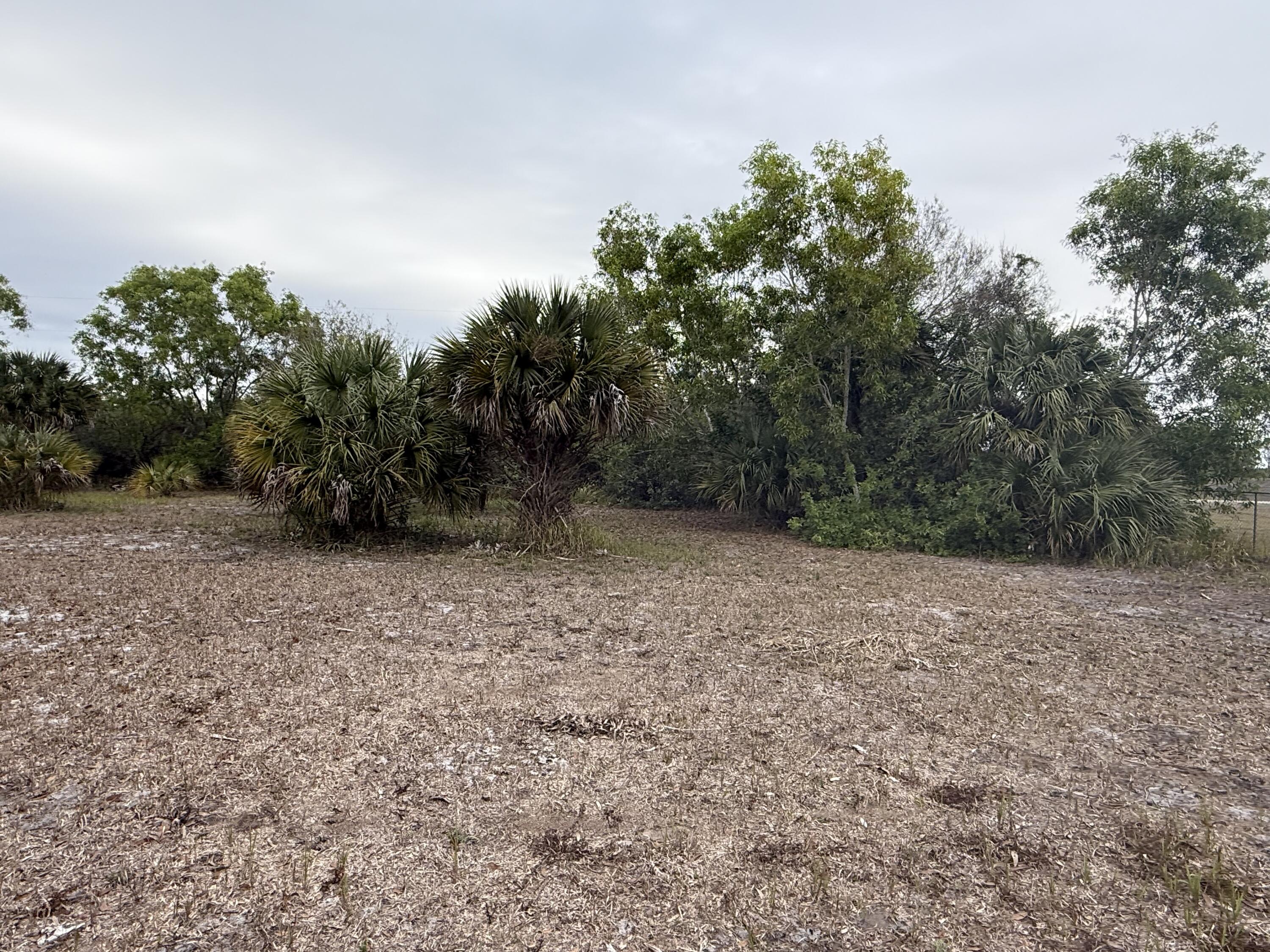 754 Hunting Club Avenue Clewiston, FL 33440 - Photo 4 of 31 a view of dirt field with trees