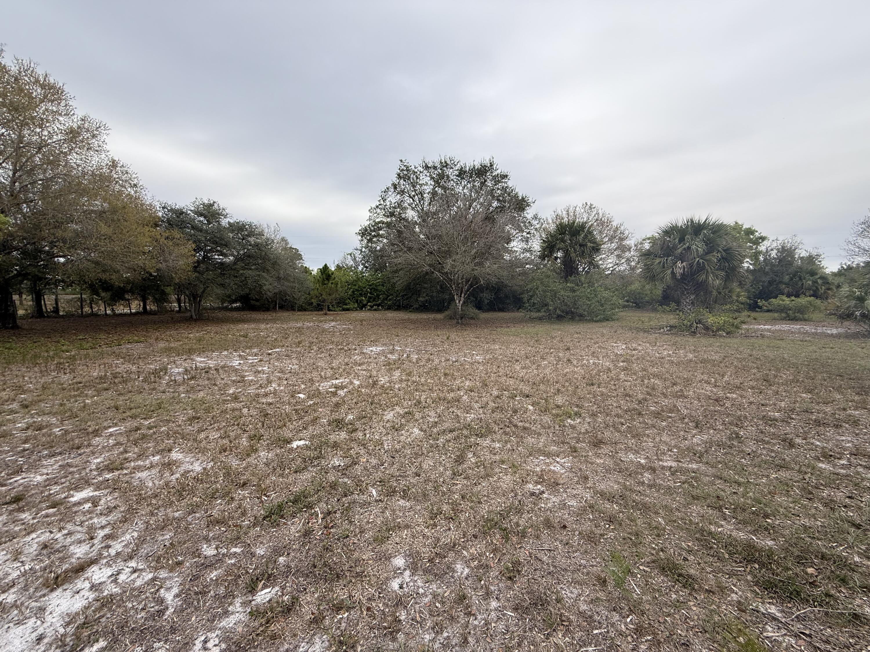 754 Hunting Club Avenue Clewiston, FL 33440 - Photo 9 of 31 a view of a field with trees in the background