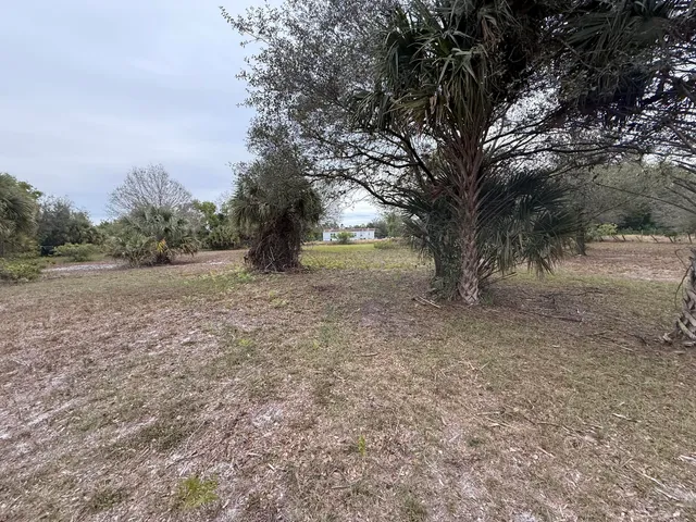 a view of a yard with a tree