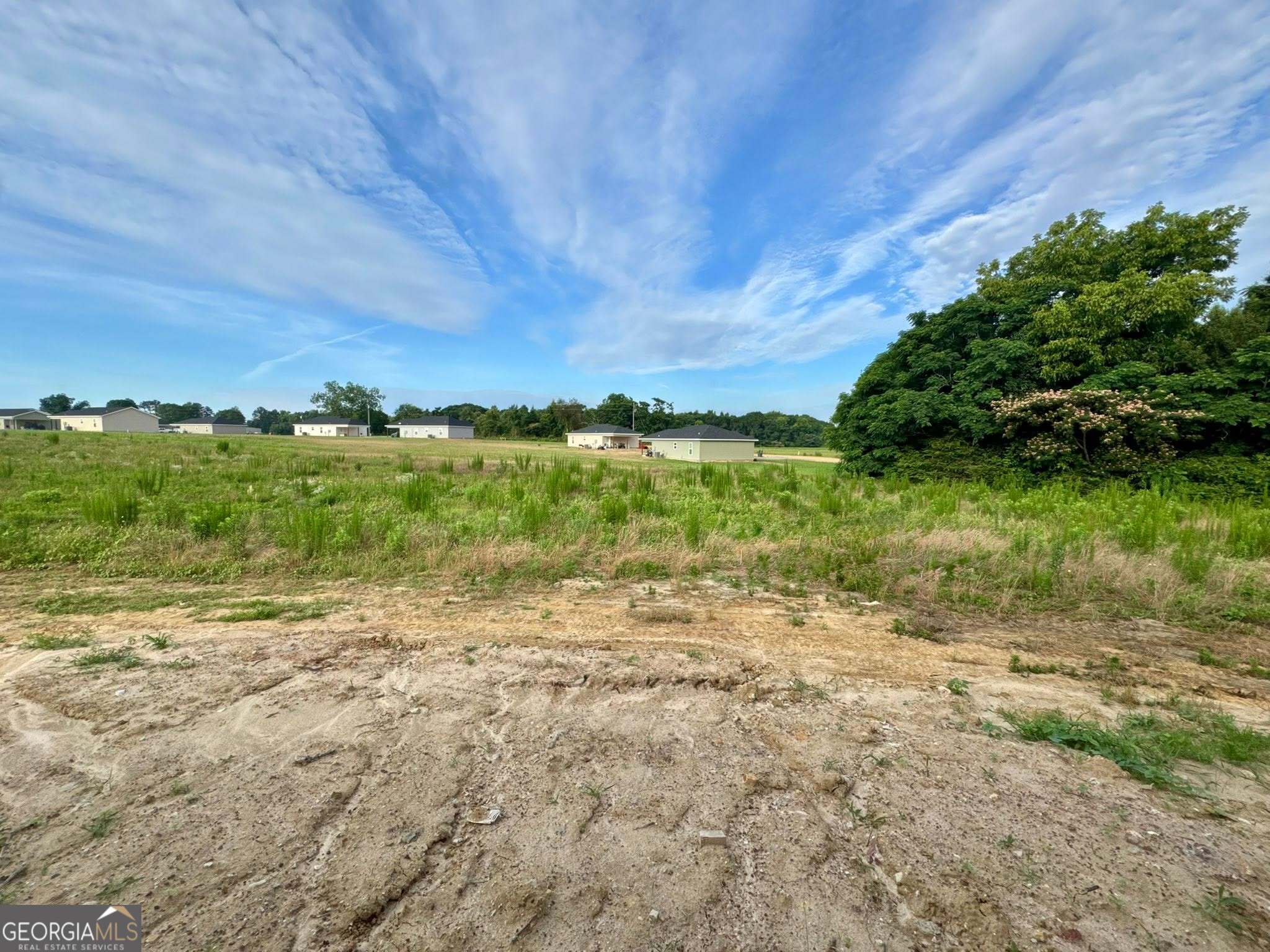 1243 Mark Wood Road Dexter, GA 31019 - Photo 26 of 26
