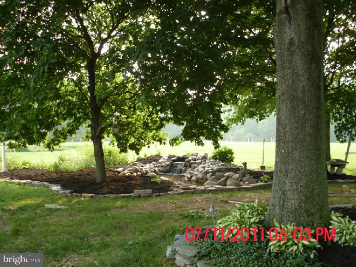 1034 Elephant Road Perkasie, PA 18944 - Photo 12 of 14 Back Yard