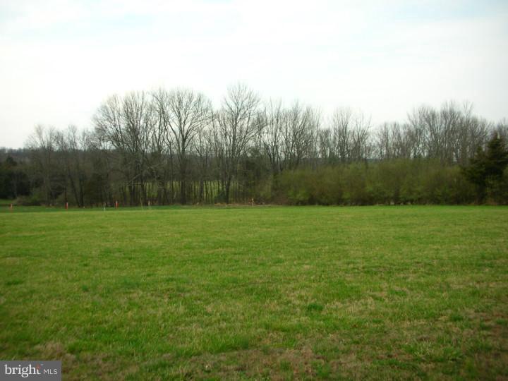 1034 Elephant Road Perkasie, PA 18944 - Photo 5 of 14 View