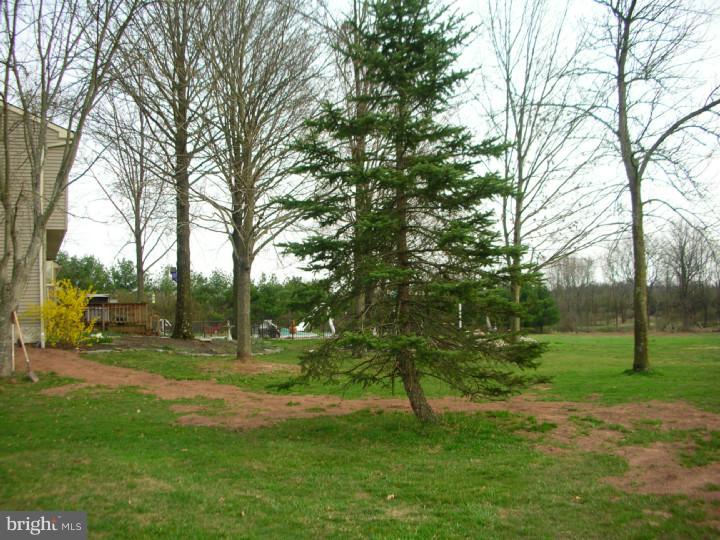 1034 Elephant Road Perkasie, PA 18944 - Photo 7 of 14 Back Yard