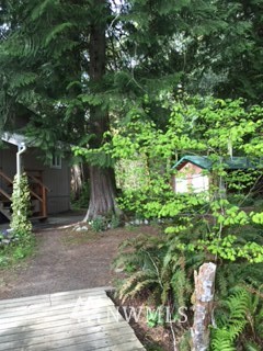 61302 Cascade River Road Marblemount, WA 98267 - Photo 11 of 20 Gallery Image 11