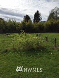 61302 Cascade River Road Marblemount, WA 98267 - Photo 12 of 20 Gallery Image 12