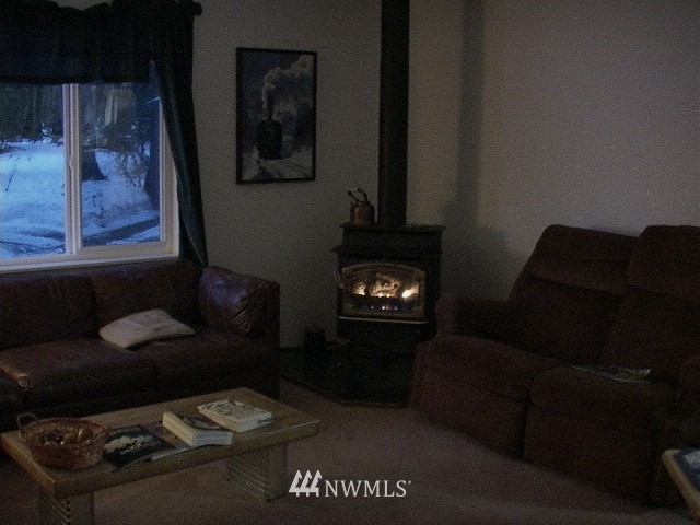 61302 Cascade River Road Marblemount, WA 98267 - Photo 17 of 20 Gallery Image 17