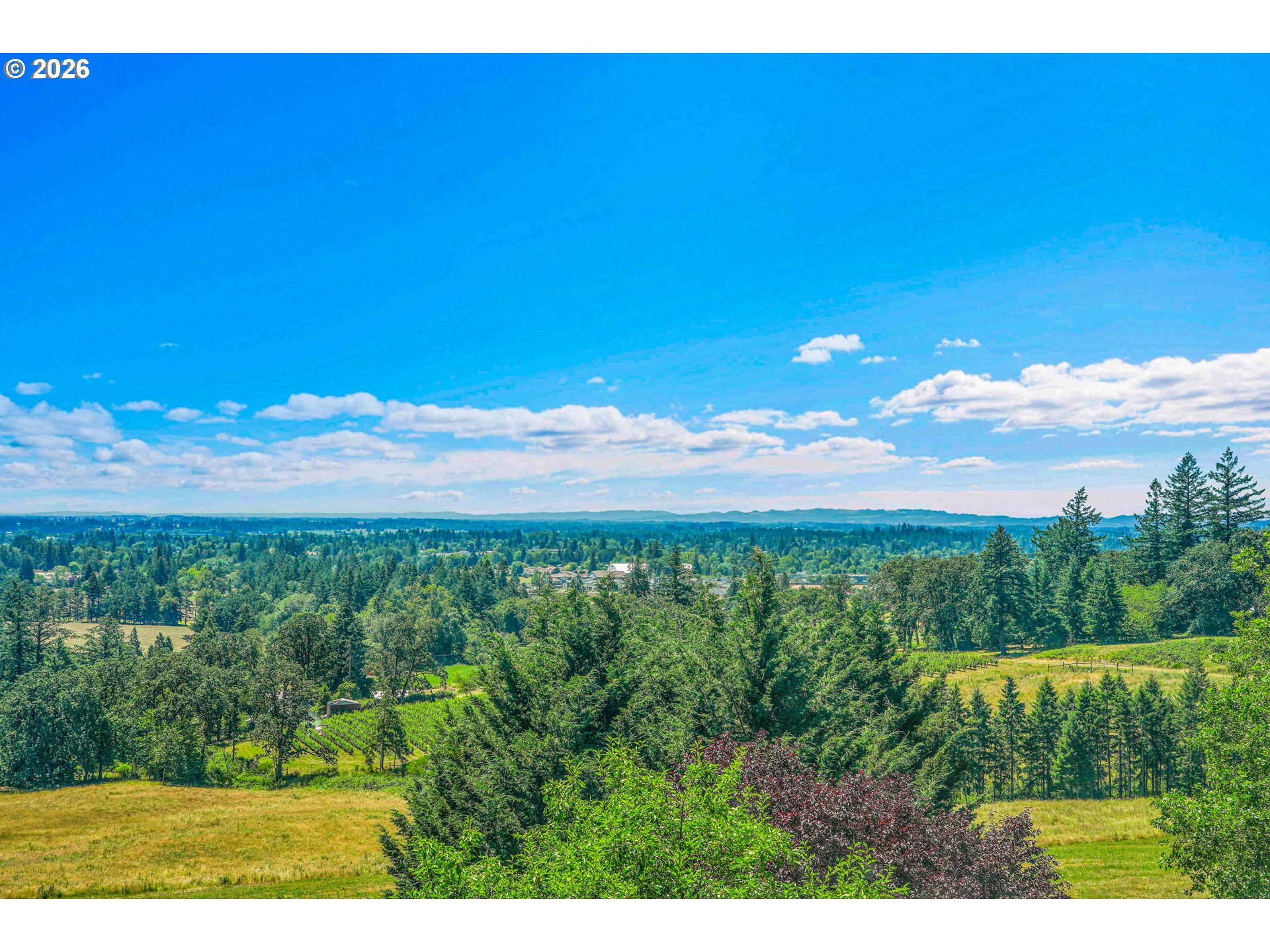 27100 Northeast Bell Road Newberg, OR 97132 - Photo 26 of 29