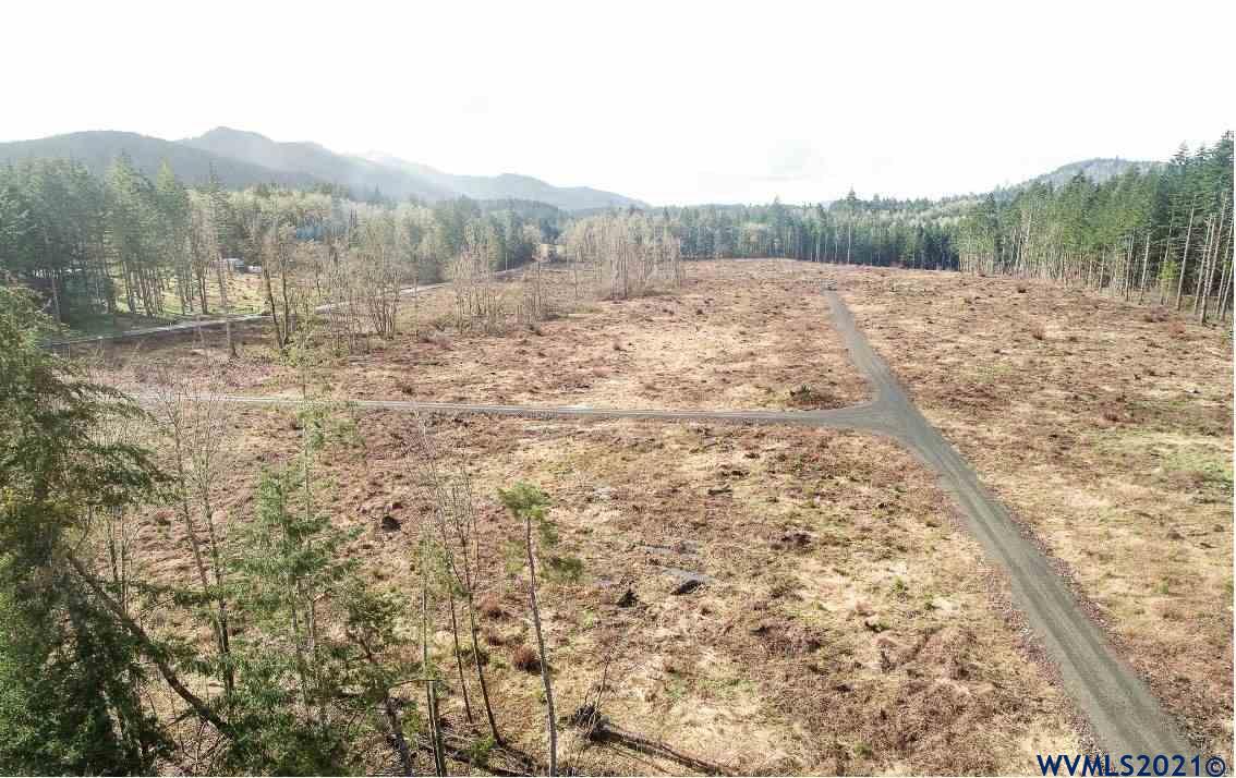 Gooseneck (parcel 289476) Road Sheridan, OR 97378 - Photo 9 of 23