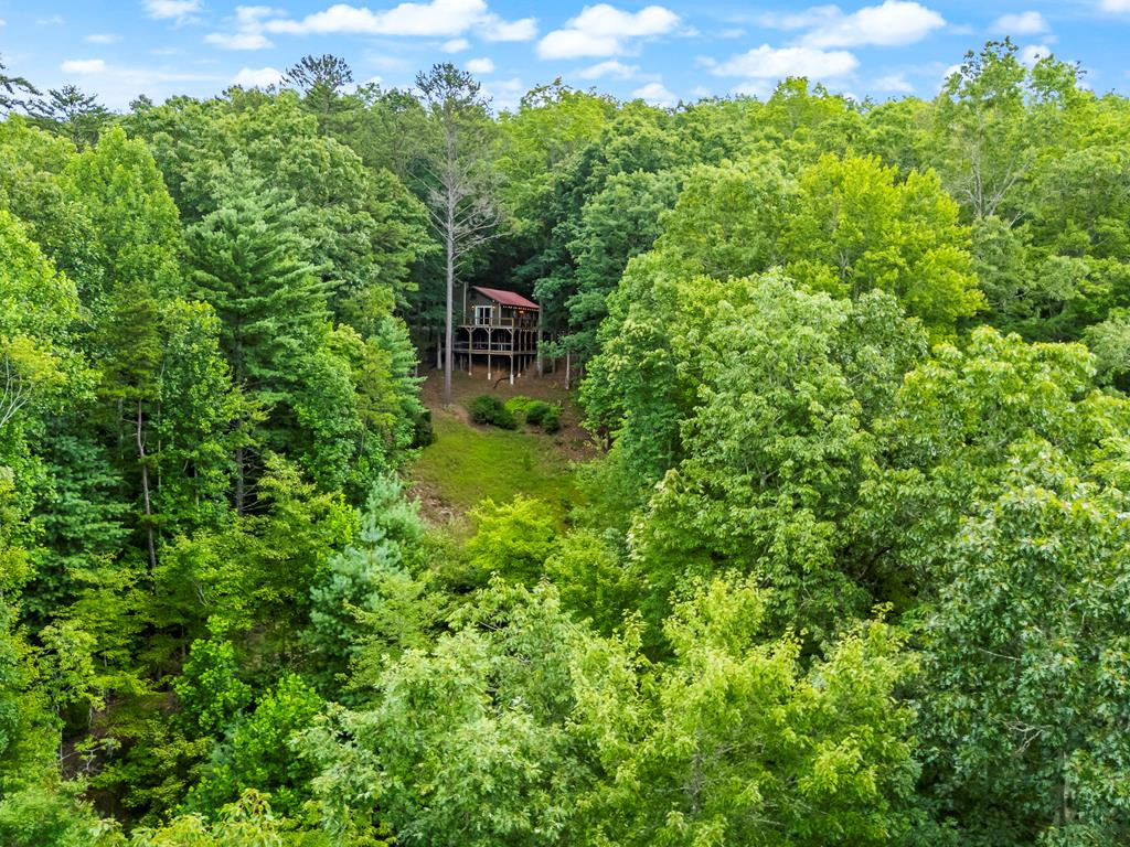 513 Persimmon Hts Road Murphy, NC 28906 - Photo 61 of 61