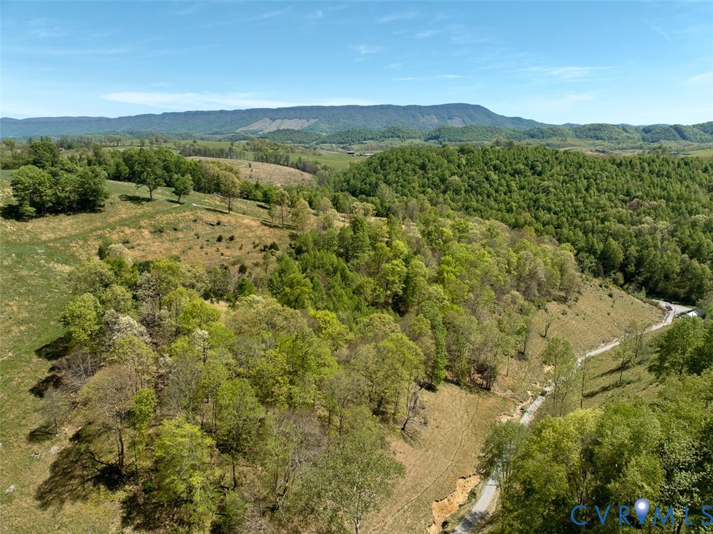 453 Long Hollow Road Cleveland, VA 24225 - Photo 26 of 50 a view of a forest with a mountain