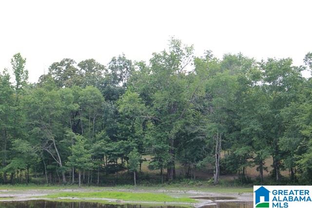 6869 Stemley Bridge Road Talladega, AL 35160 - Photo 27 of 39