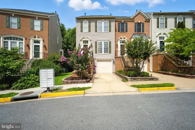 a view of swimming pool with potted plants and palm trees