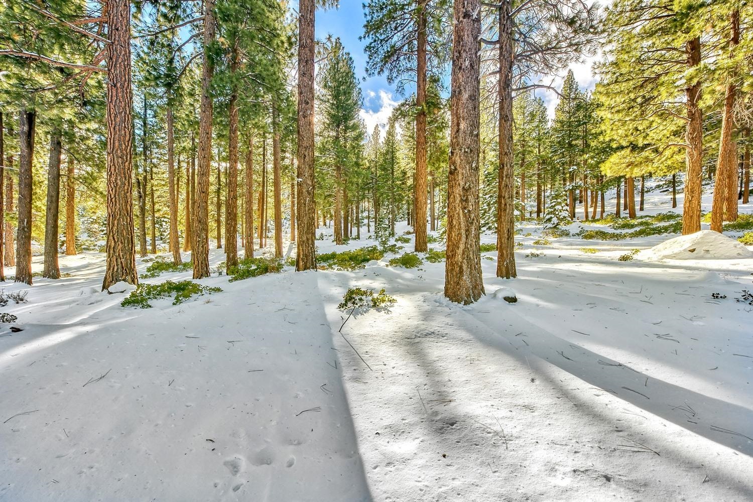 135 West Jeffrey Pine Road Reno, NV 89511 - Photo 13 of 21 Gallery Image 13