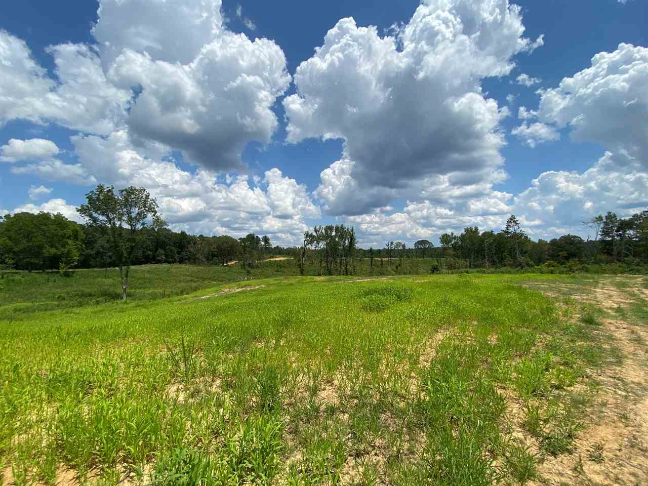 0 North Mission Road Winona, MS 38967 - Photo 3 of 10 Photo 3