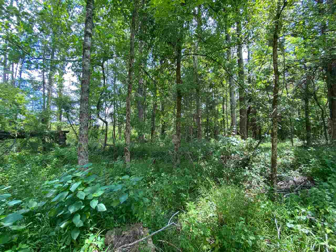 0 North Mission Road Winona, MS 38967 - Photo 4 of 10 Photo 4