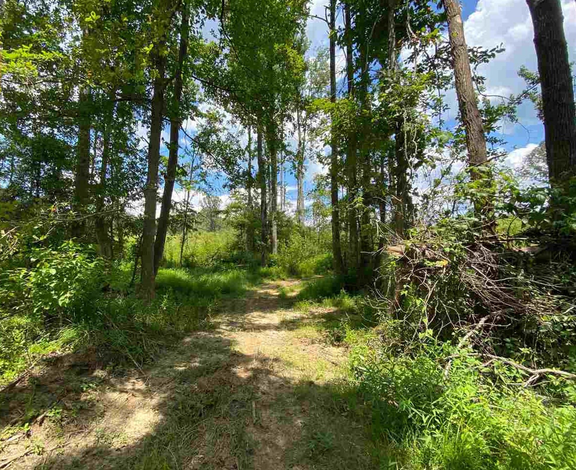 0 North Mission Road Winona, MS 38967 - Photo 5 of 10 Photo 5