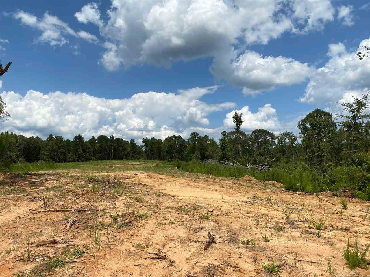 0 North Mission Road Winona, MS 38967 - Photo 6 of 10 Photo 6