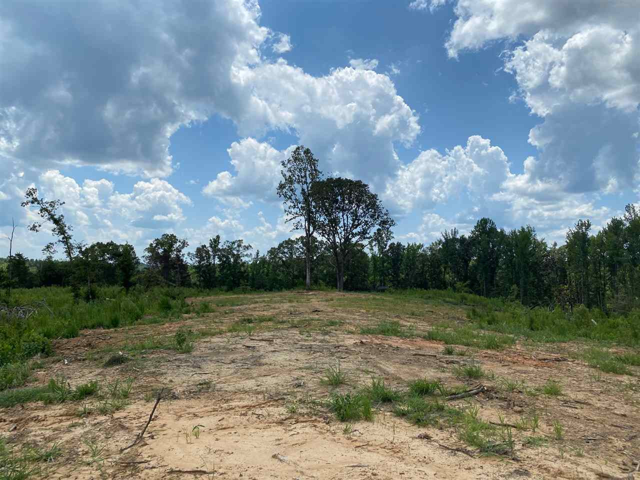 0 North Mission Road Winona, MS 38967 - Photo 8 of 10 Photo 8