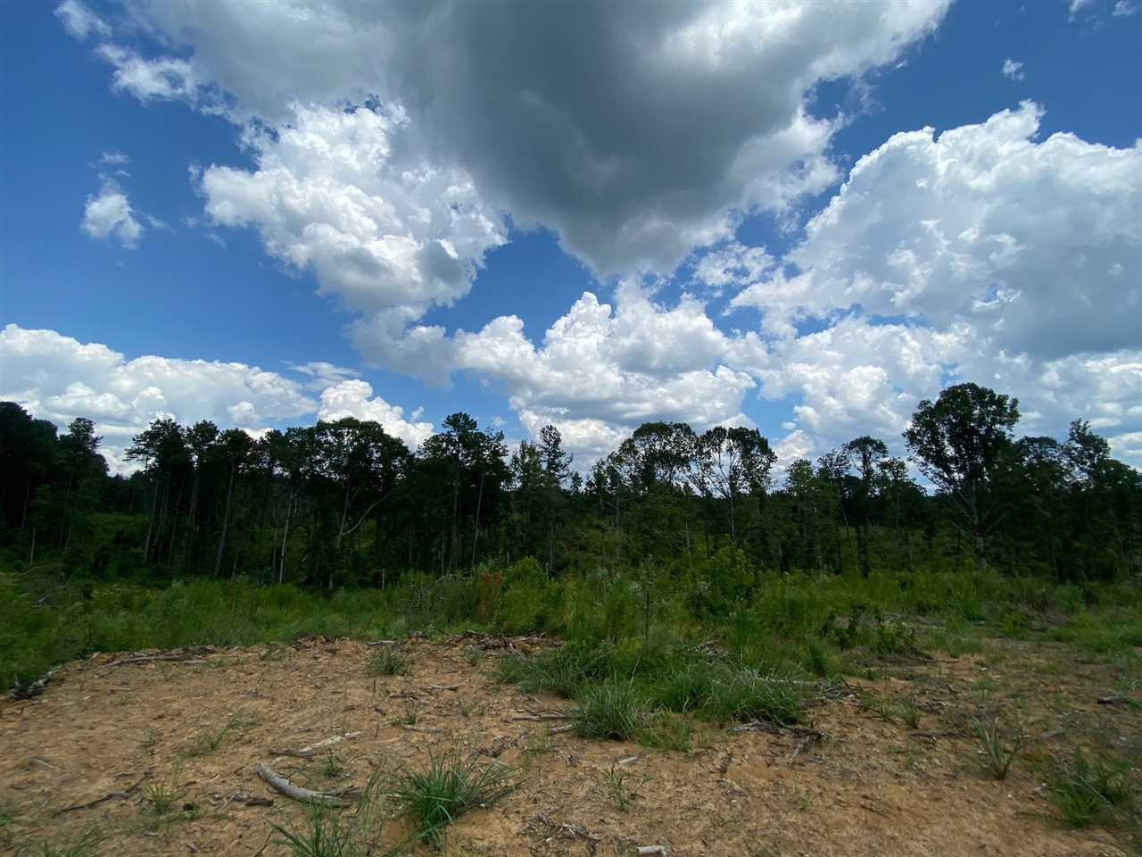 0 North Mission Road Winona, MS 38967 - Photo 9 of 10 Photo 9