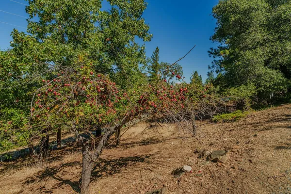 $549,000 | 17900 Holly Road, Fiddletown, CA 95629