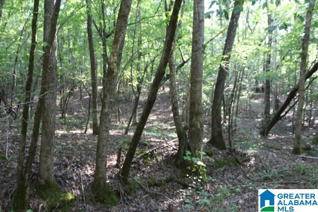 1 Benefield Gap Road Attalla, AL 35954 - Photo 40 of 50