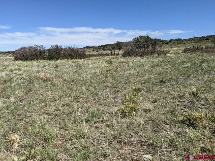 Tbd Majors Ranch Road Walsenburg, CO 81089 - Photo 16 of 45