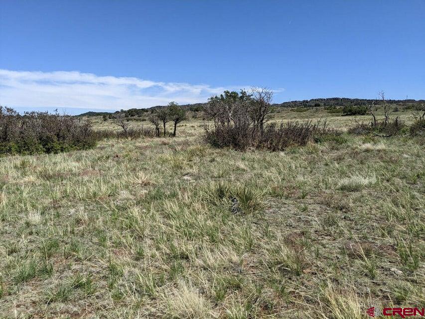 Tbd Majors Ranch Road Walsenburg, CO 81089 - Photo 30 of 45