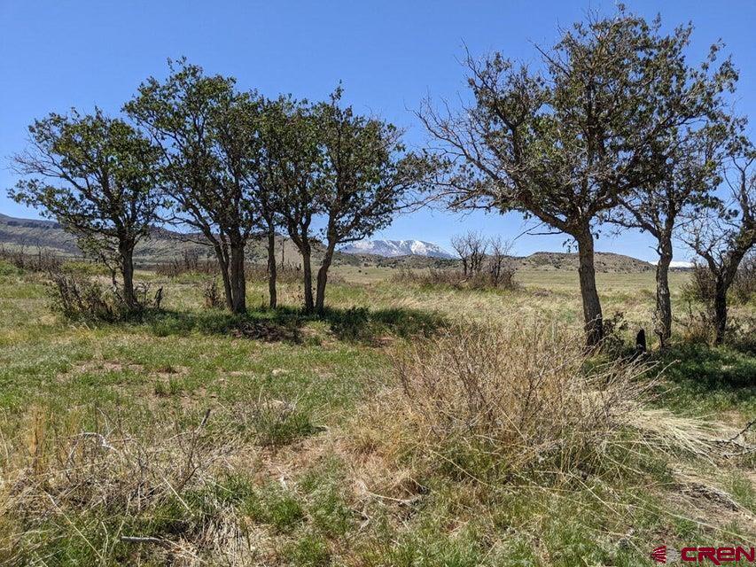 Tbd Majors Ranch Road Walsenburg, CO 81089 - Photo 31 of 45