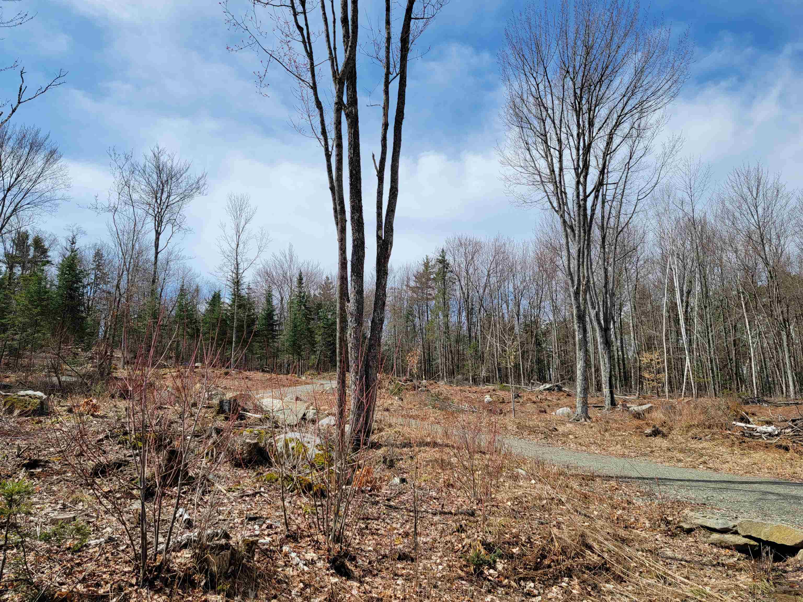 Lot 8.1-2 Cyr Road Bethlehem, NH 03574 - Photo 1 of 33