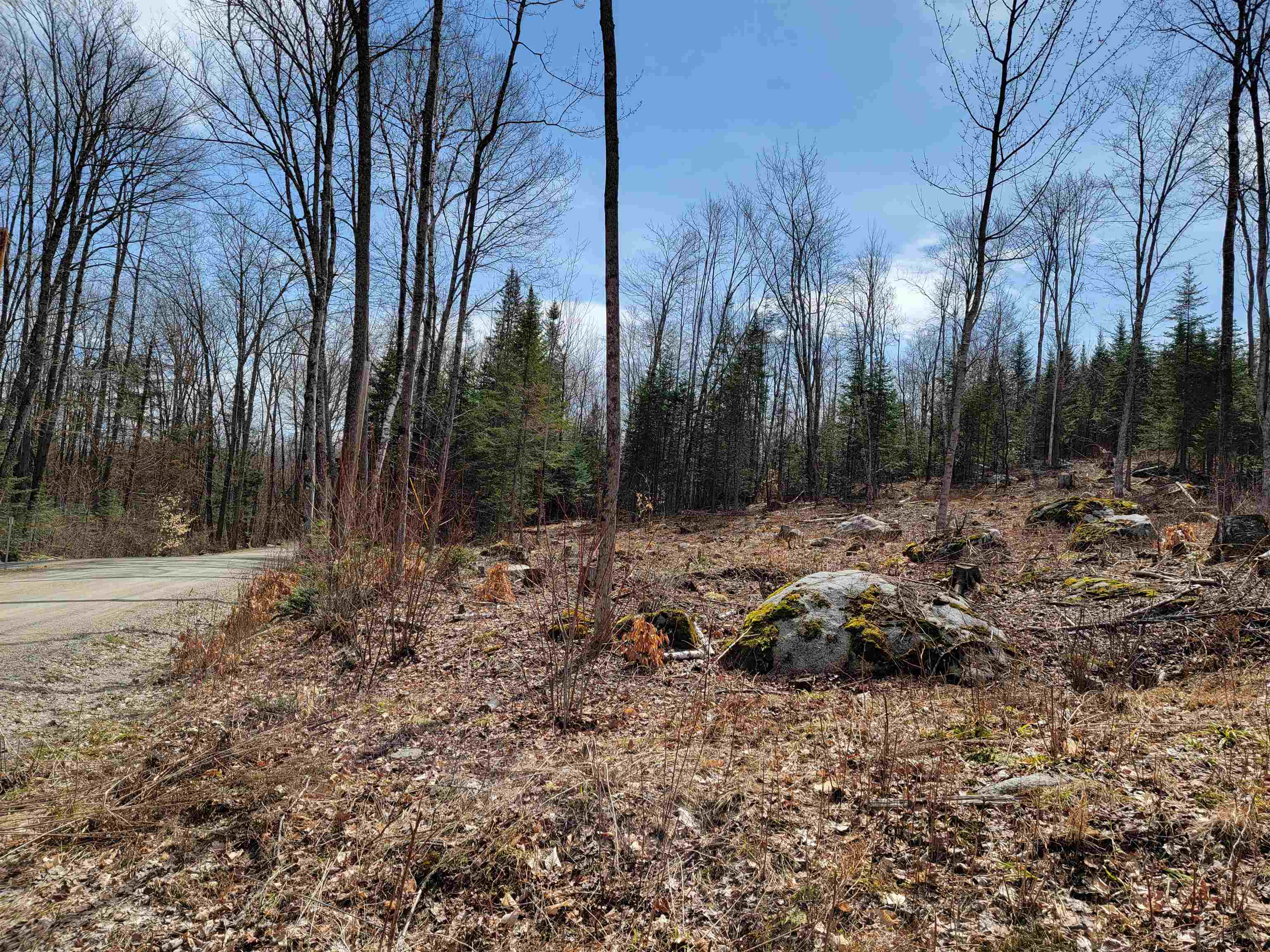 Lot 8.1-2 Cyr Road Bethlehem, NH 03574 - Photo 12 of 33