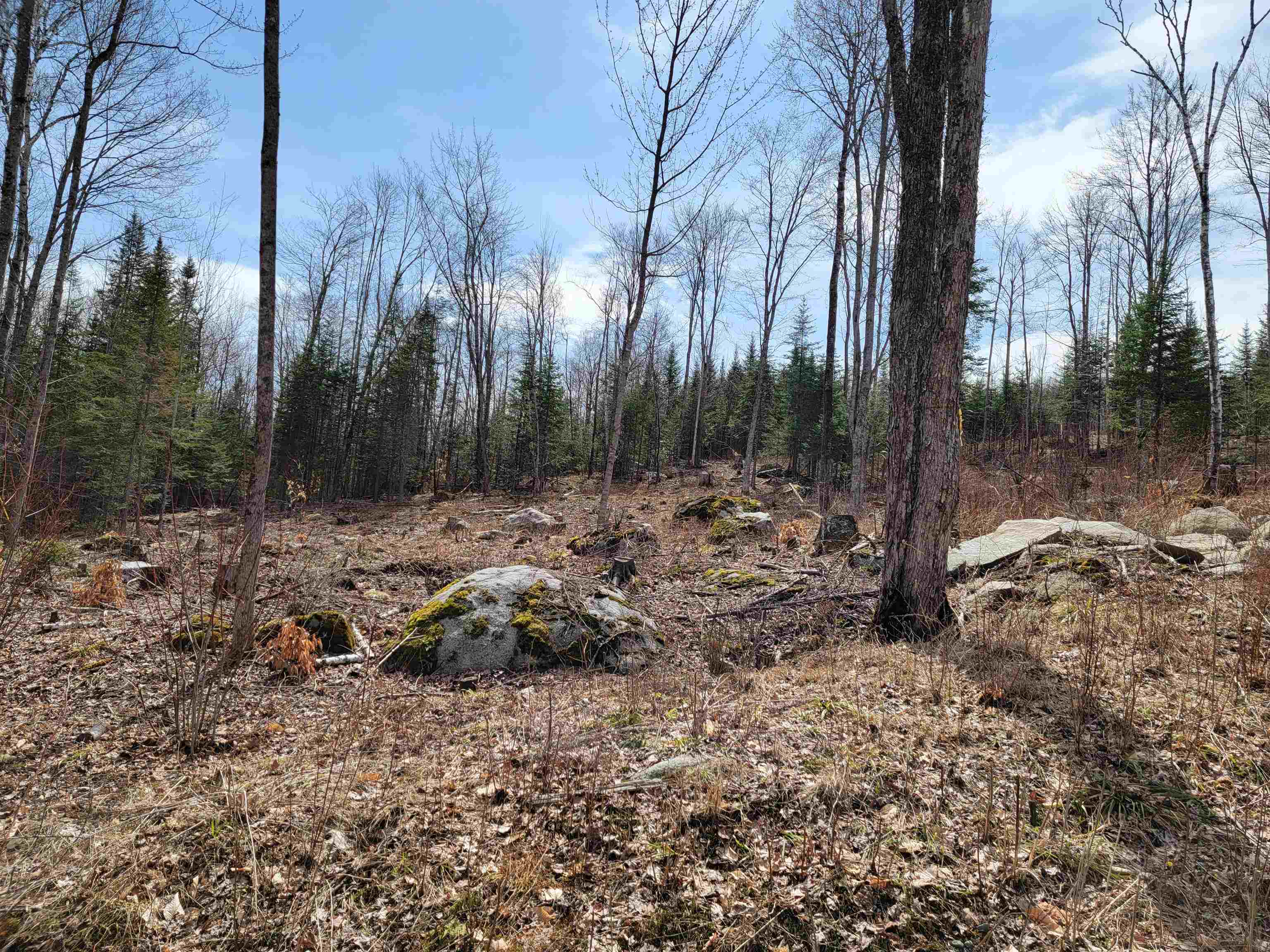 Lot 8.1-2 Cyr Road Bethlehem, NH 03574 - Photo 13 of 33
