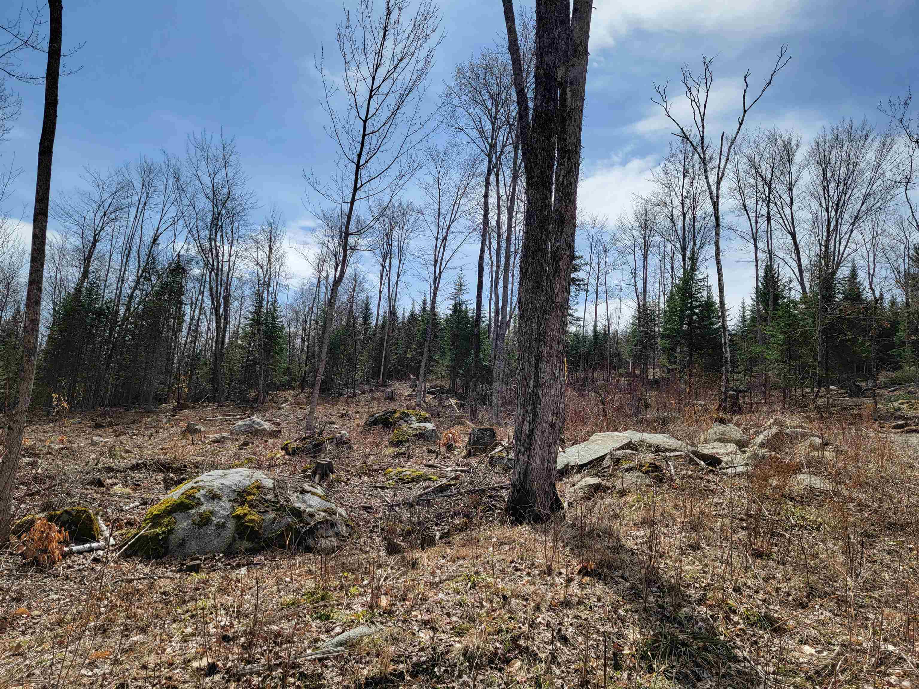 Lot 8.1-2 Cyr Road Bethlehem, NH 03574 - Photo 14 of 33