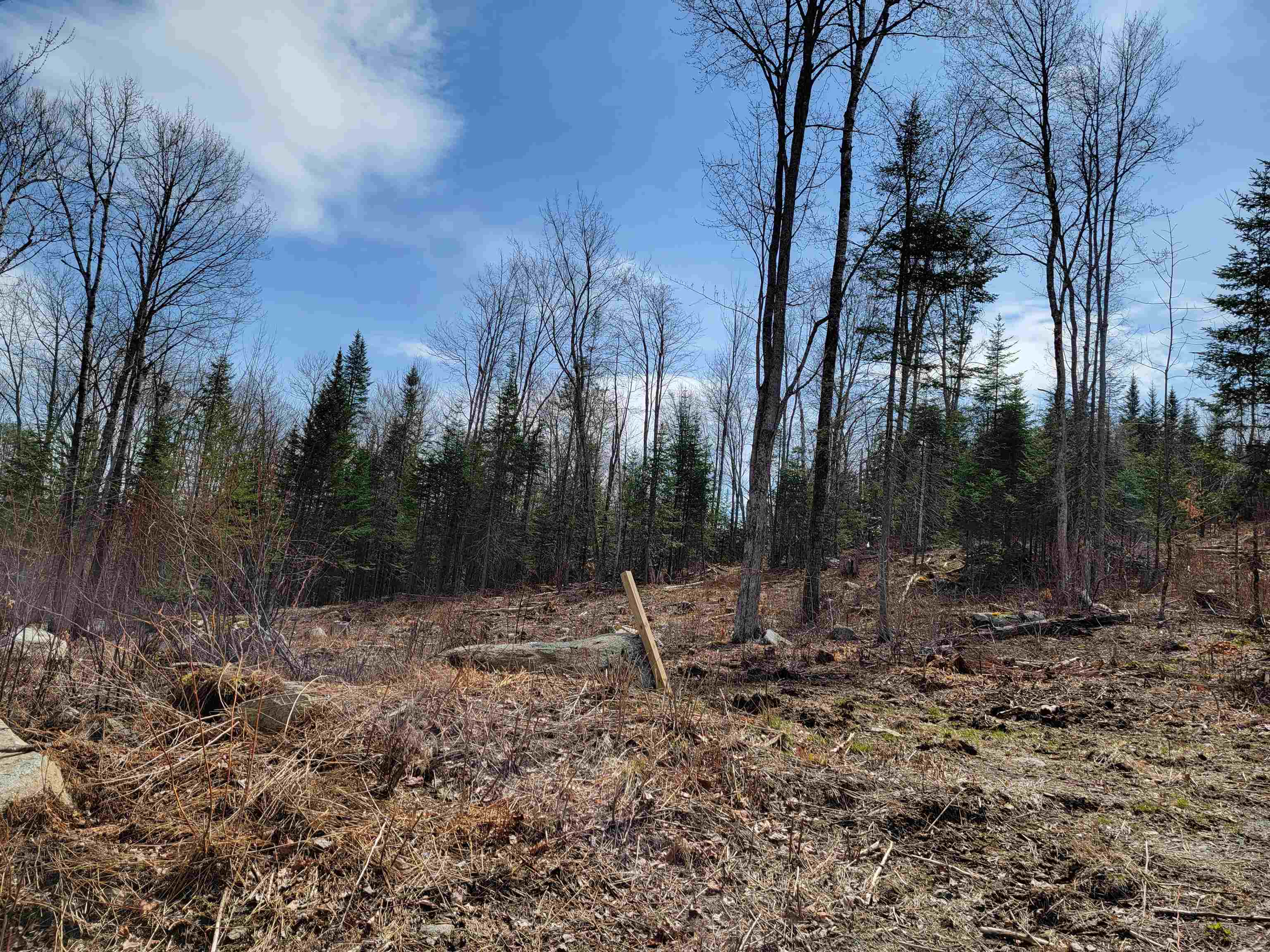 Lot 8.1-2 Cyr Road Bethlehem, NH 03574 - Photo 15 of 33