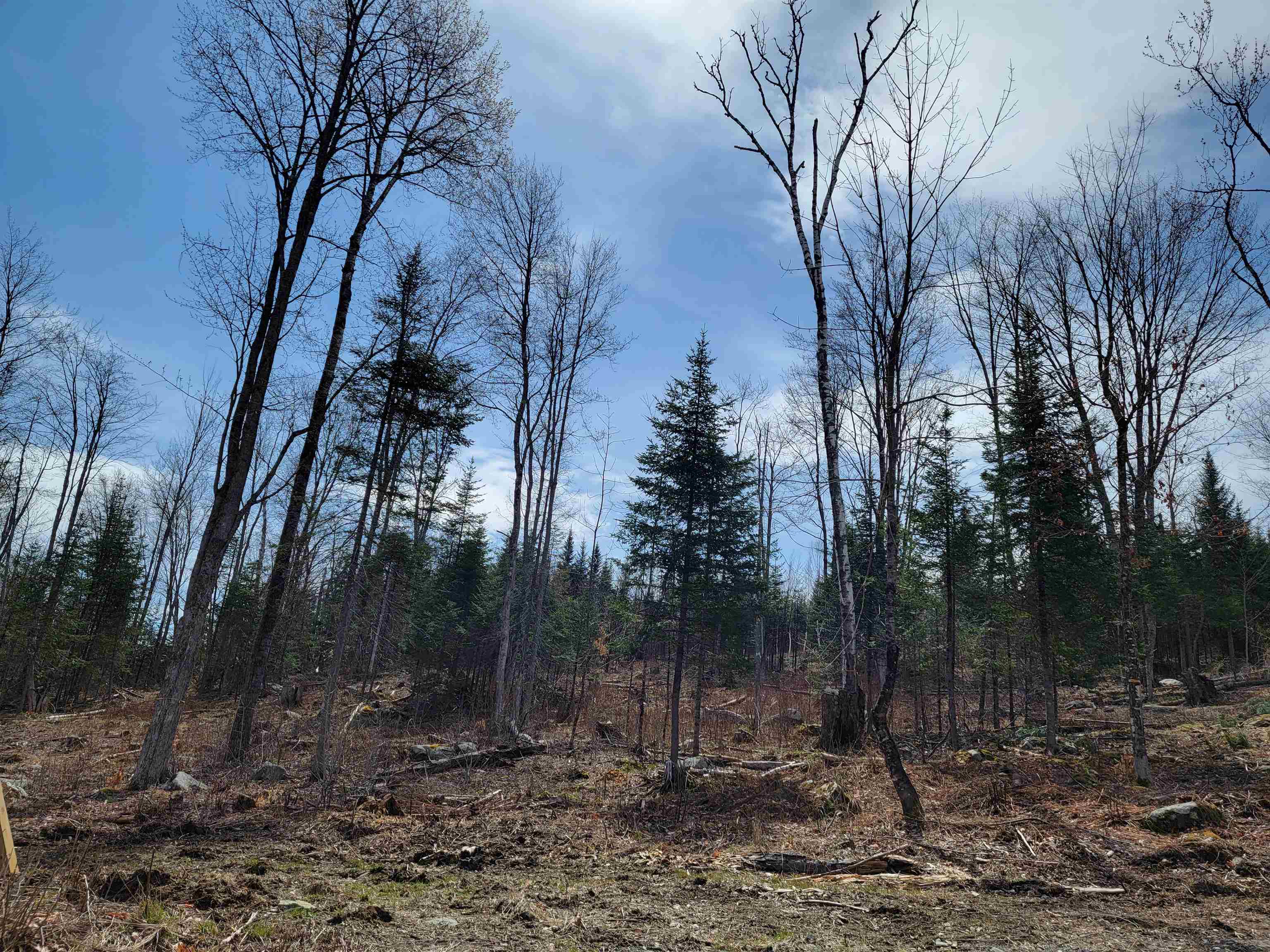 Lot 8.1-2 Cyr Road Bethlehem, NH 03574 - Photo 17 of 33
