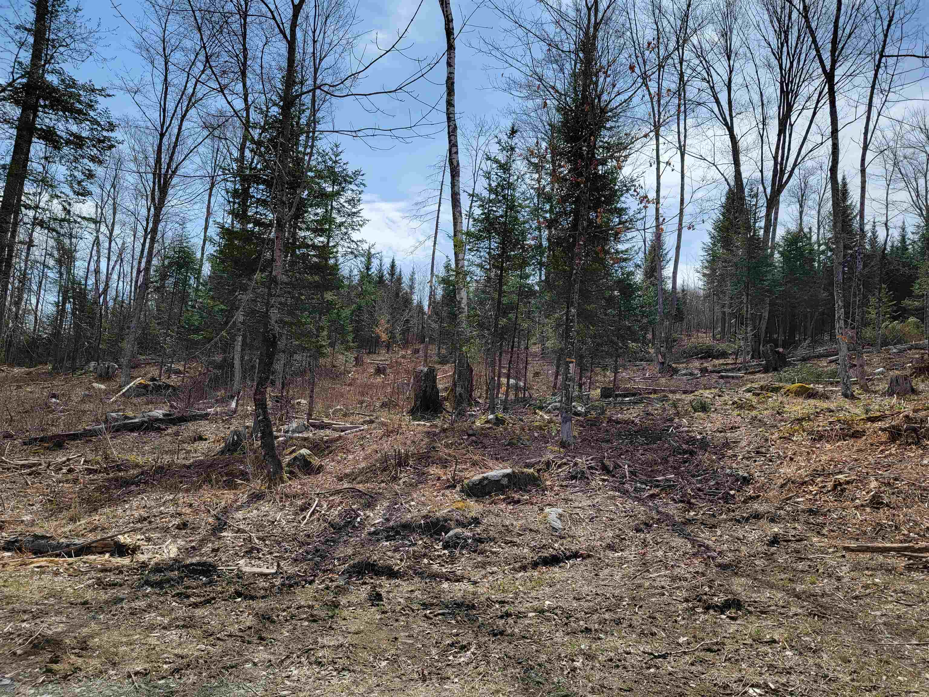 Lot 8.1-2 Cyr Road Bethlehem, NH 03574 - Photo 19 of 33