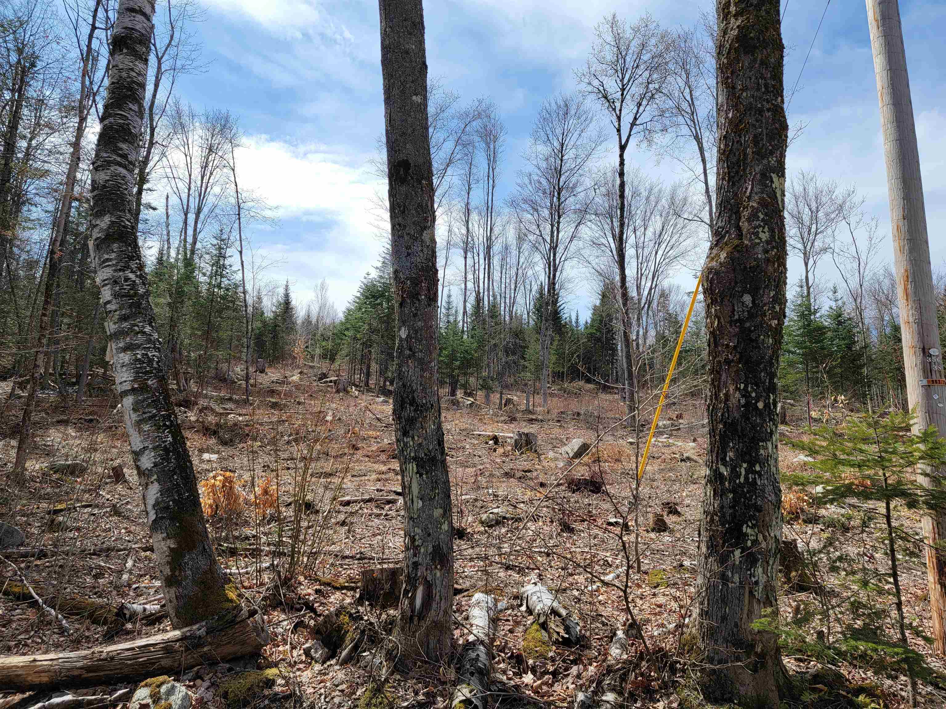 Lot 8.1-2 Cyr Road Bethlehem, NH 03574 - Photo 20 of 33