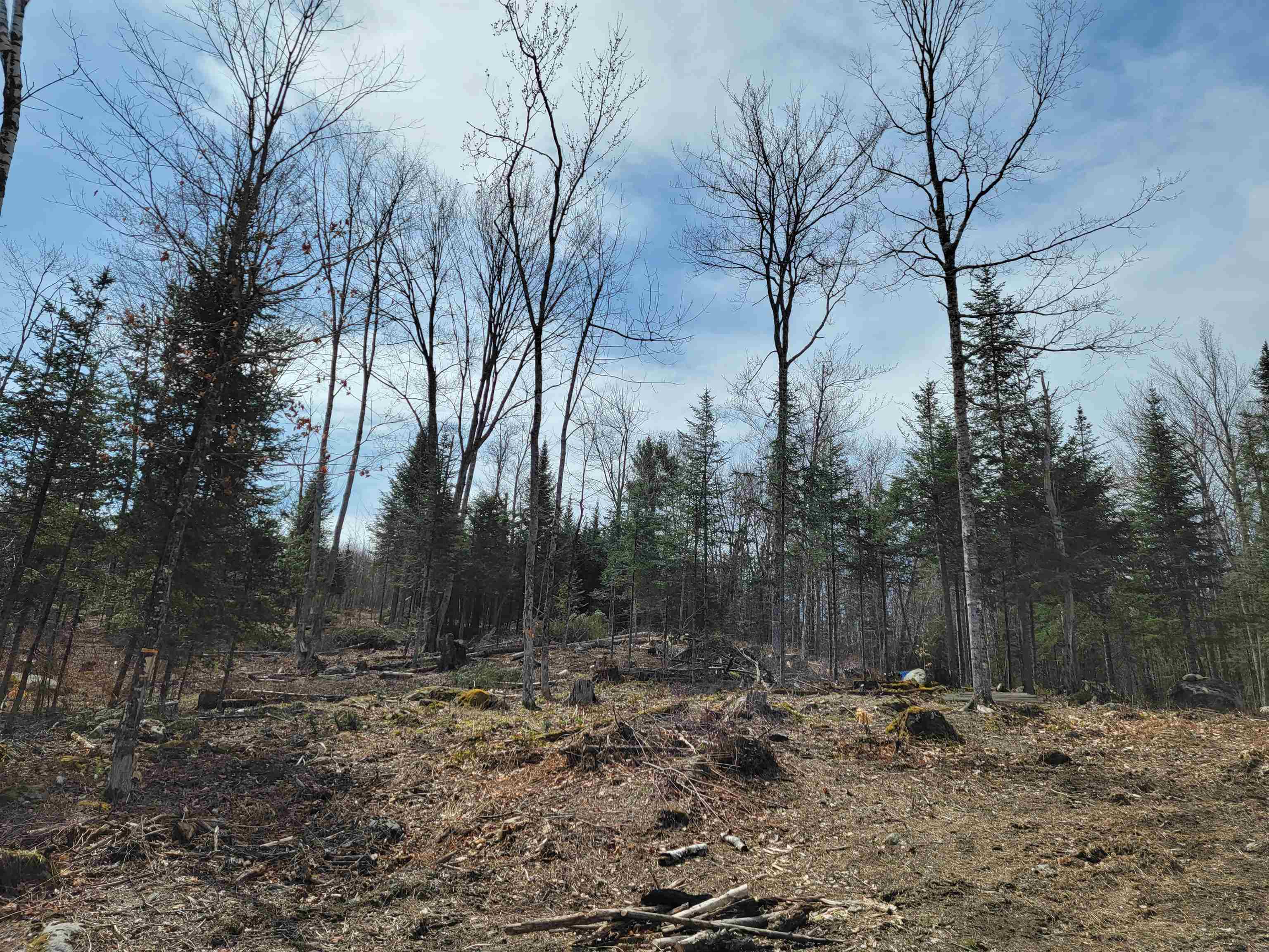 Lot 8.1-2 Cyr Road Bethlehem, NH 03574 - Photo 21 of 33