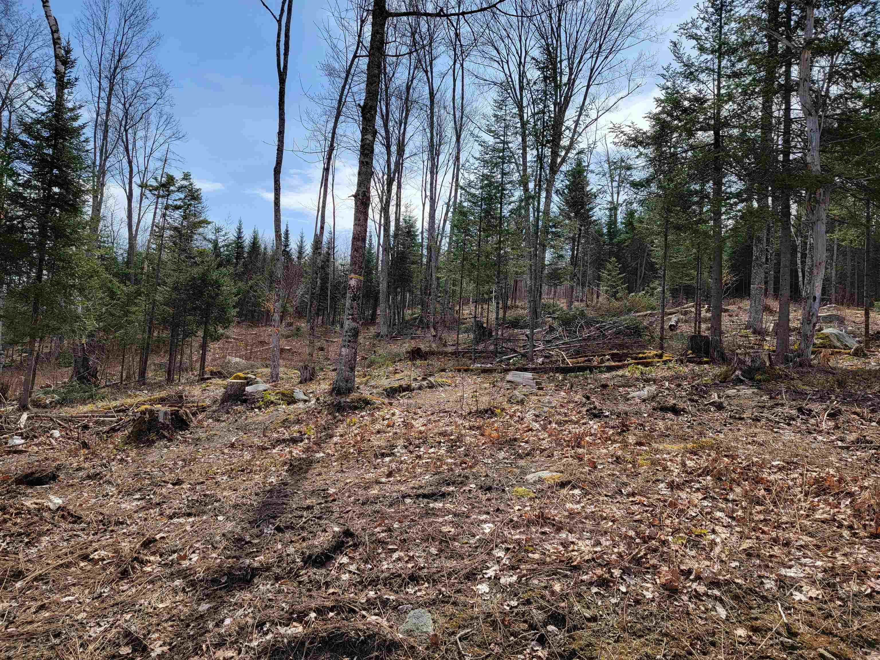 Lot 8.1-2 Cyr Road Bethlehem, NH 03574 - Photo 22 of 33