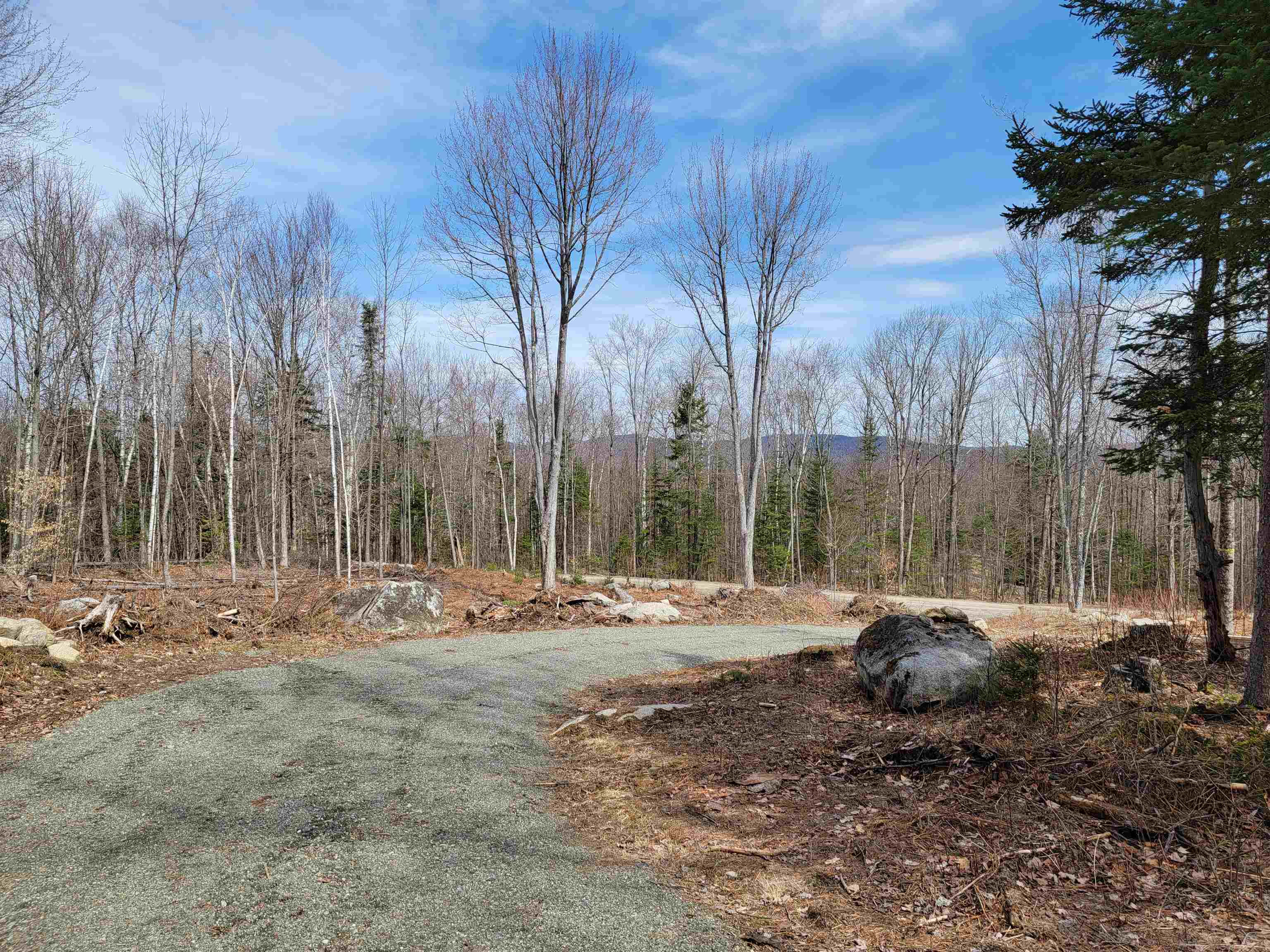 Lot 8.1-2 Cyr Road Bethlehem, NH 03574 - Photo 23 of 33