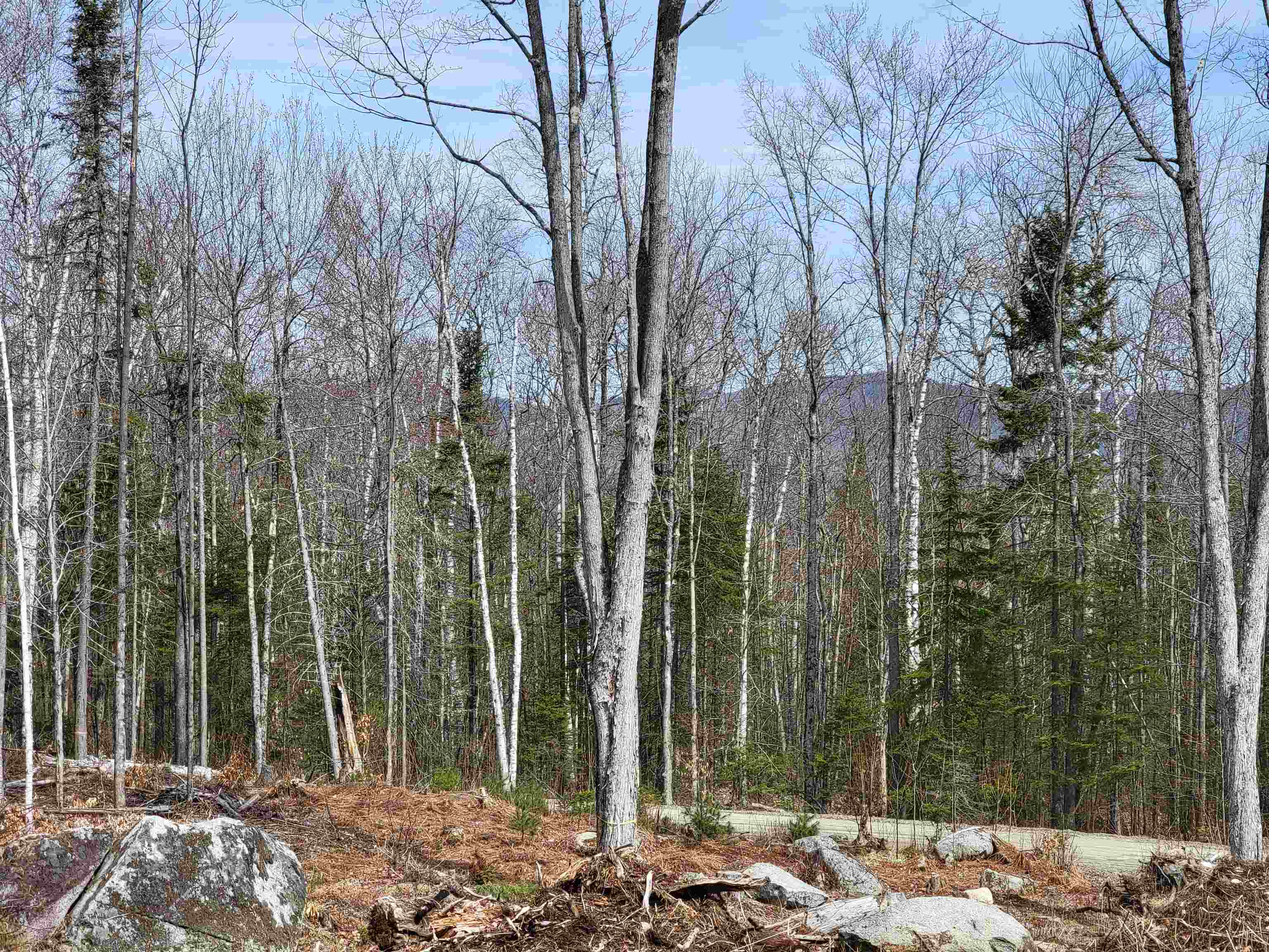 Lot 8.1-2 Cyr Road Bethlehem, NH 03574 - Photo 24 of 33