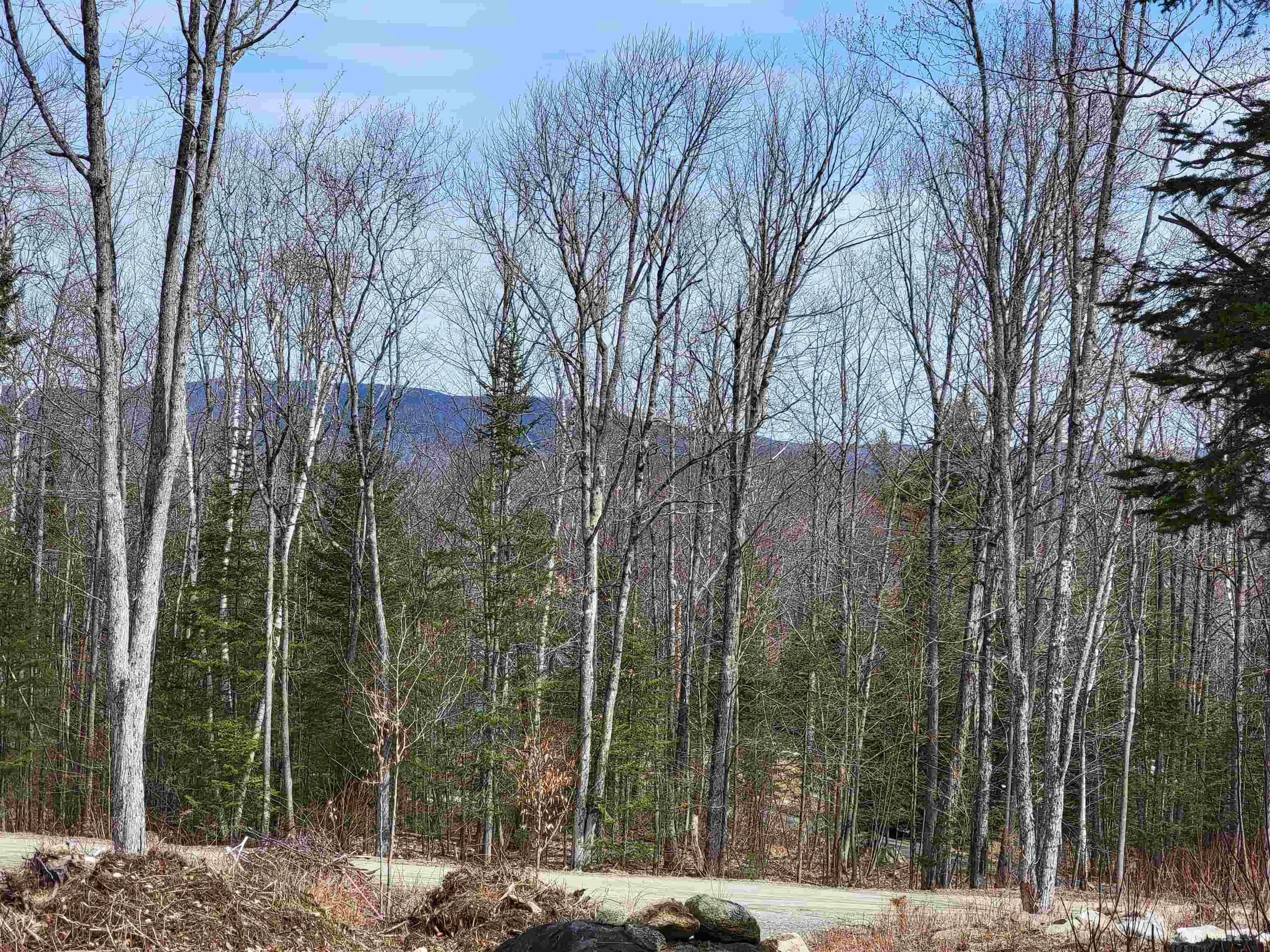 Lot 8.1-2 Cyr Road Bethlehem, NH 03574 - Photo 25 of 33