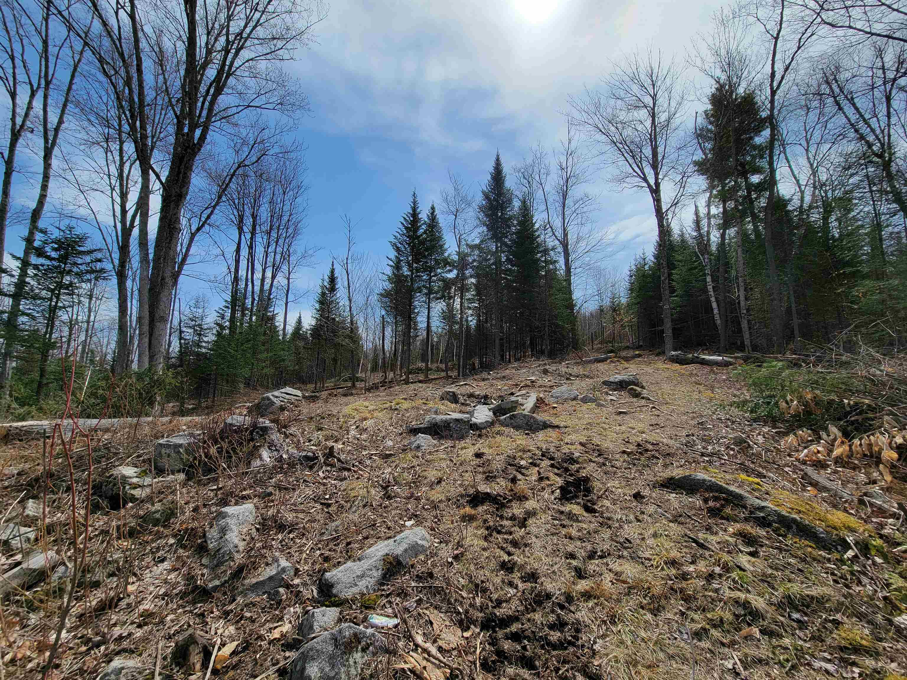 Lot 8.1-2 Cyr Road Bethlehem, NH 03574 - Photo 26 of 33
