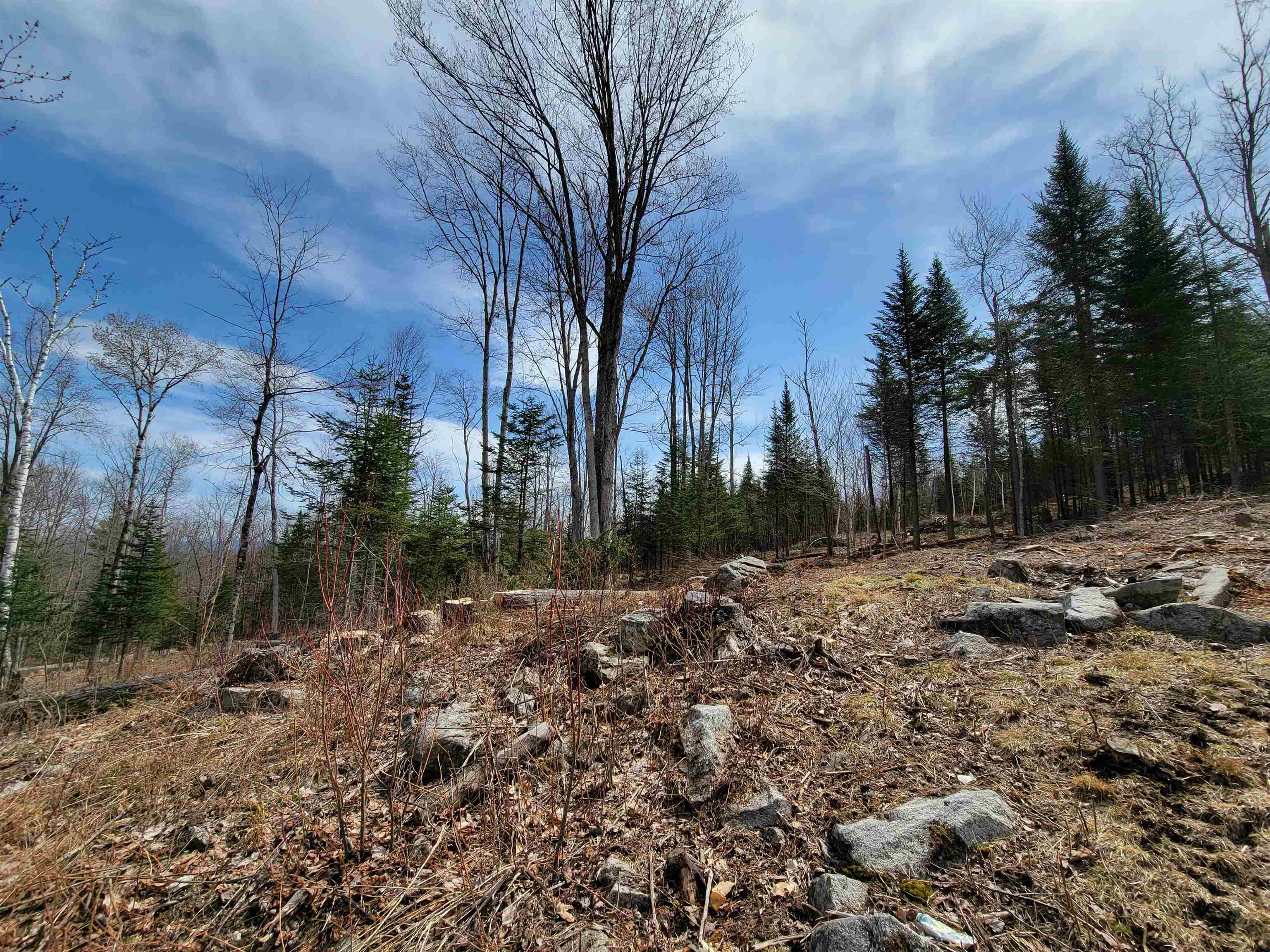 Lot 8.1-2 Cyr Road Bethlehem, NH 03574 - Photo 27 of 33