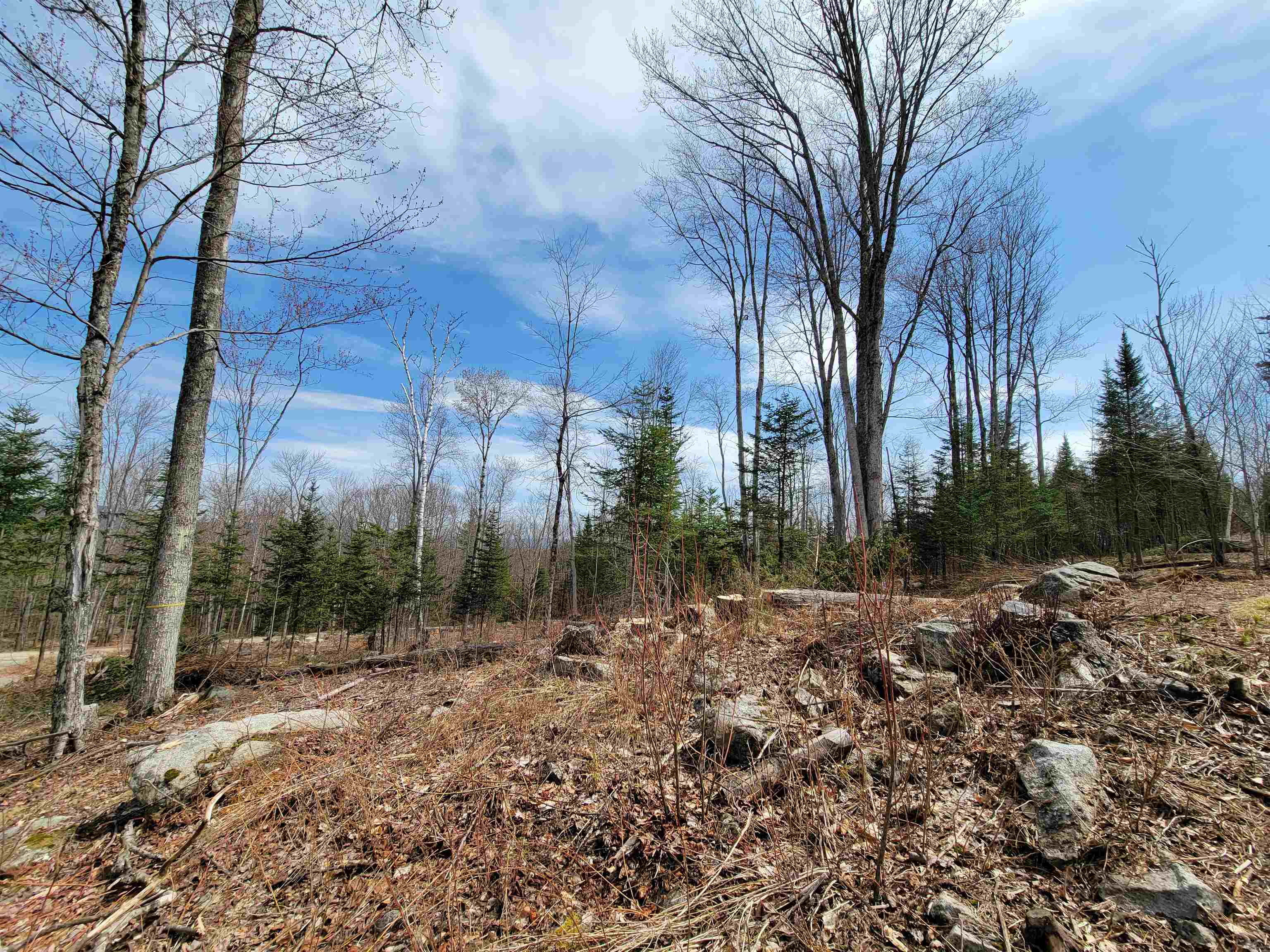 Lot 8.1-2 Cyr Road Bethlehem, NH 03574 - Photo 28 of 33